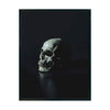 Skull cuadro decorativo para sala moderna | arte para hogar | Studio MagArt