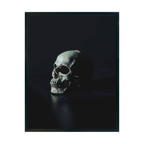 Skull cuadro decorativo para sala moderna | arte para hogar | Studio MagArt