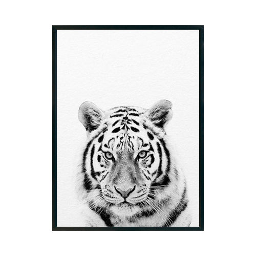TIGRE - Studio MagArt