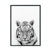 TIGRE cuadro decorativo para sala moderna | arte para hogar | Studio MagArt