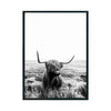 TORO - Studio MagArt